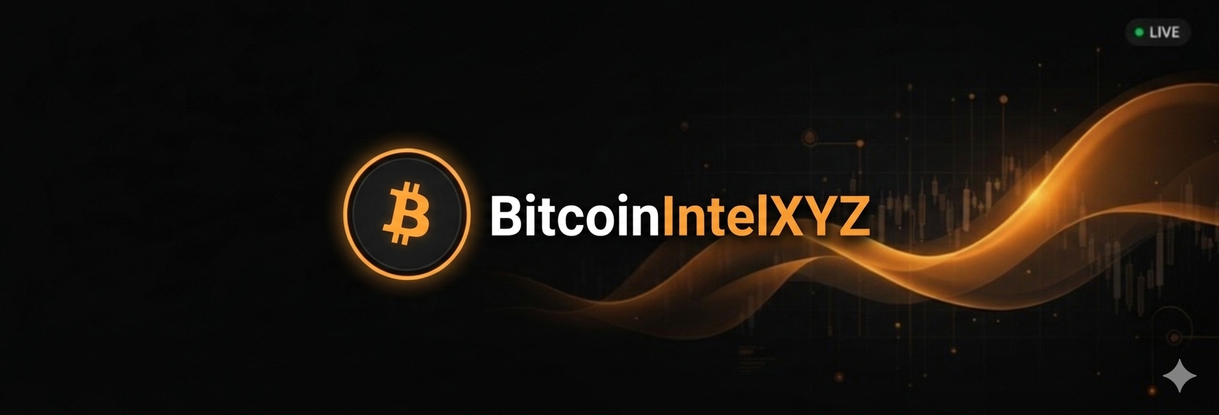 Bitcoin Intel XYZ